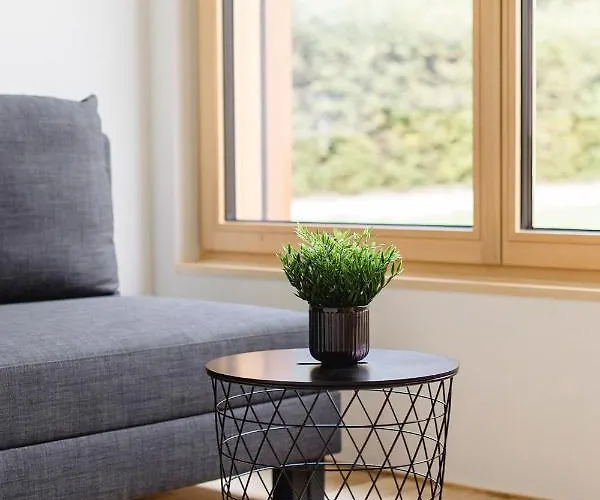 Am Greben Eins - Zwei - Sechs - Sieben Apartment Bezau